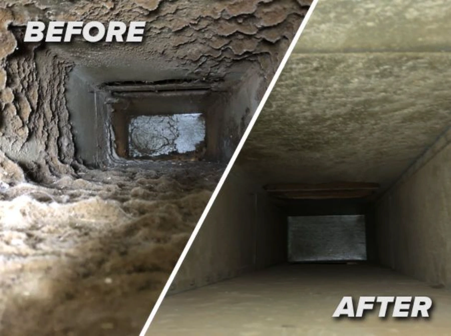 Annapolis chimney after cleaning